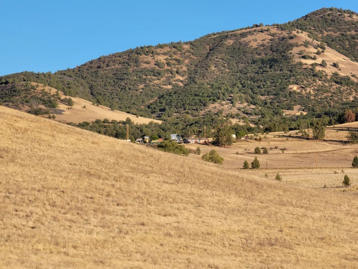 Decorative background for Gentle Slop, Valley Views image 6