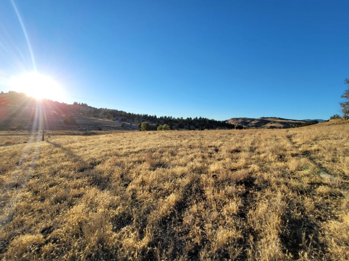 Decorative background for Gentle Slop, Valley Views image 8