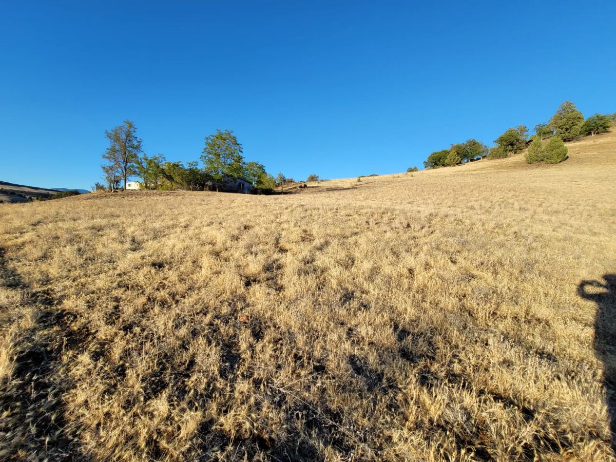 Decorative background for Gentle Slop, Valley Views image 9