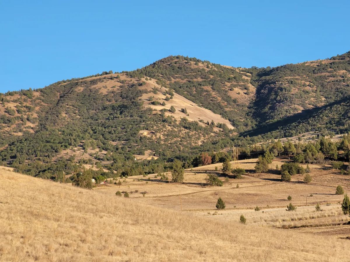 Decorative background for Gentle Slop, Valley Views image 10