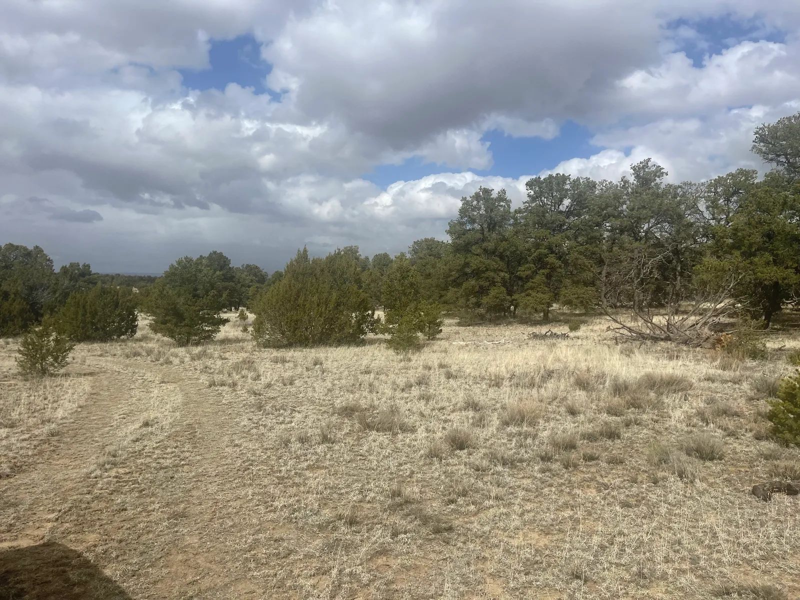 Mostly Level Site in Cibola County, NM
