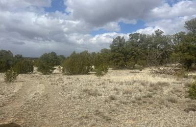 Mostly Level Site