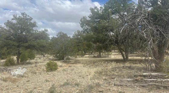 Mostly Level Site in Cibola County, NM