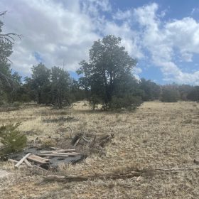 Mostly Level Site in Cibola County, NM