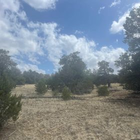 Mostly Level Site in Cibola County, NM