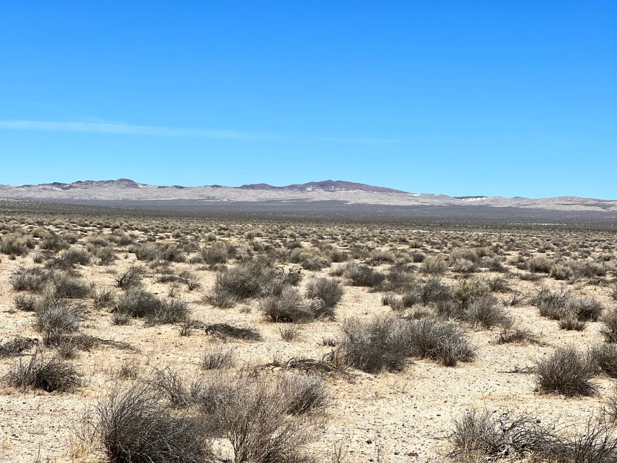 Decorative background for Near Barstow CA image 5