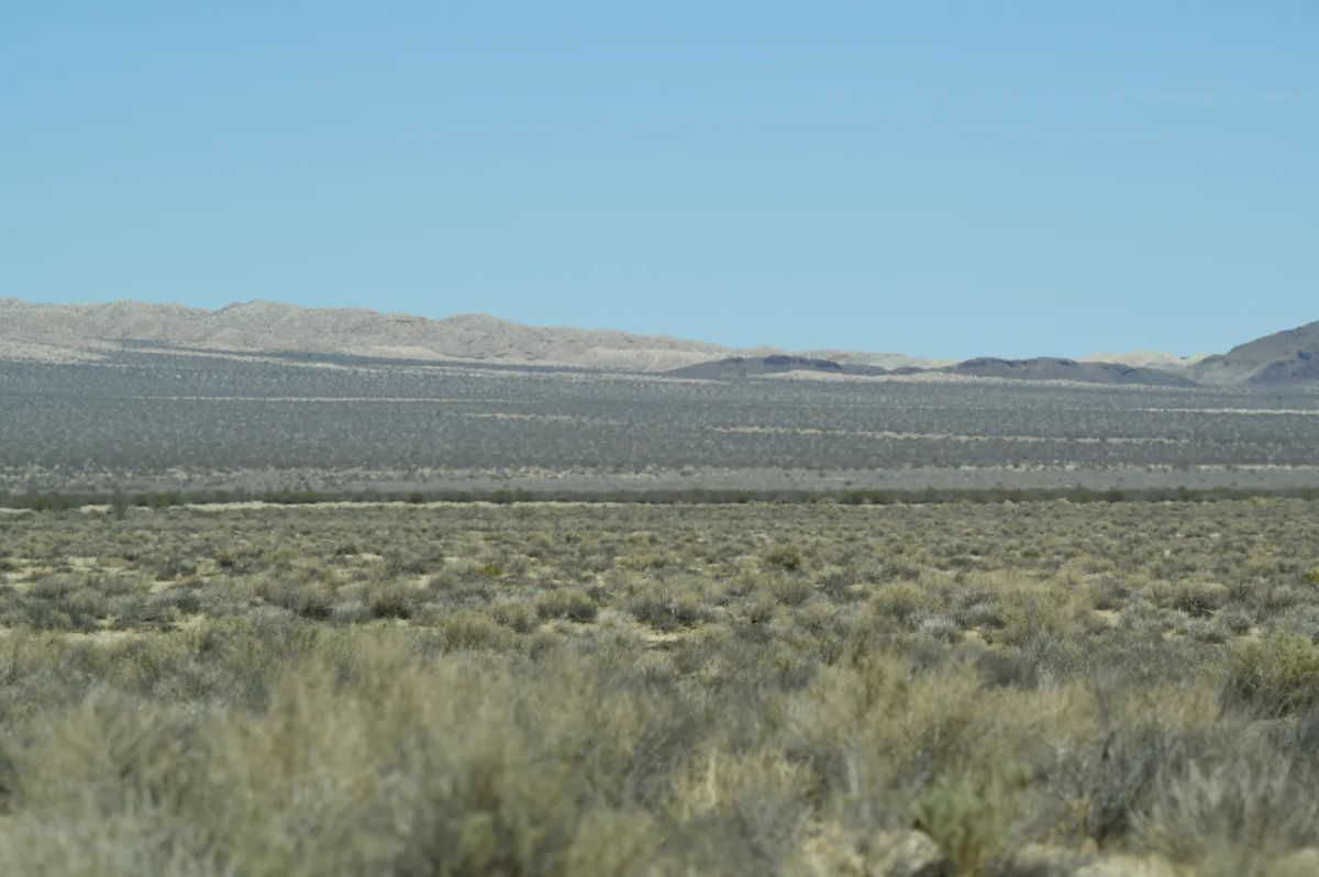 Decorative background for Near Barstow CA image 7