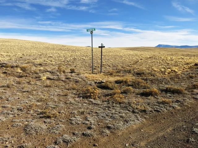 2 Side by Side Lots Included in Park County, CO