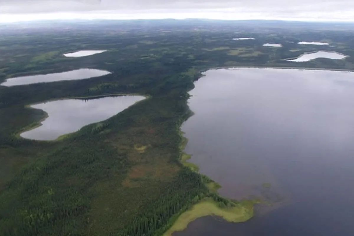 Alaskan Lakefront on Chapple Lake - Image 2