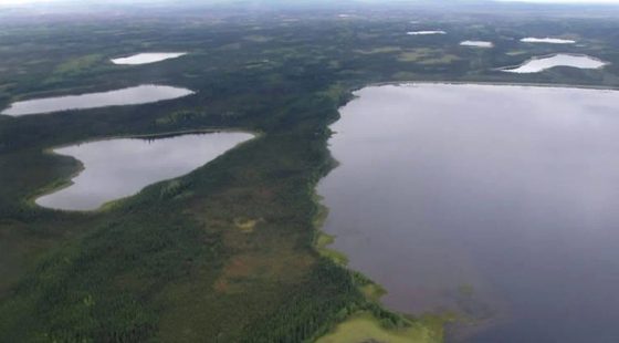 Alaskan Lakefront on Chapple Lake in Fairbanks North Star County, AK