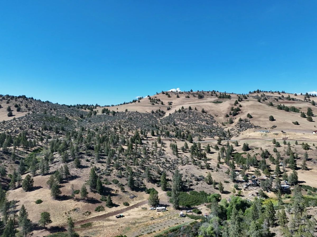 Decorative background for Elevated View Property with Gravel Road Access image 7