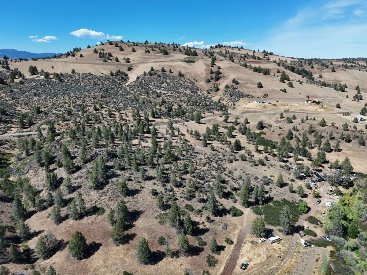 Decorative background for Elevated View Property with Gravel Road Access image 9