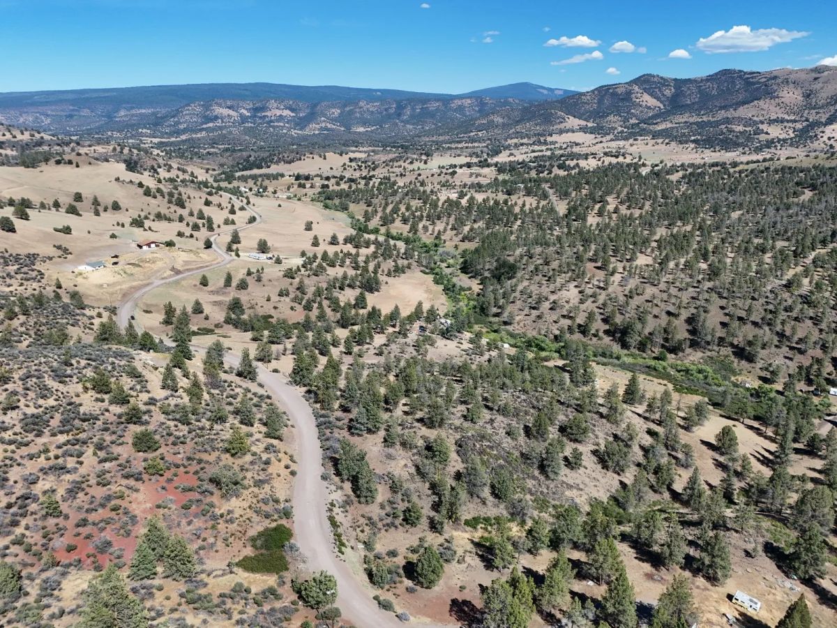 Decorative background for Elevated View Property with Gravel Road Access image 13
