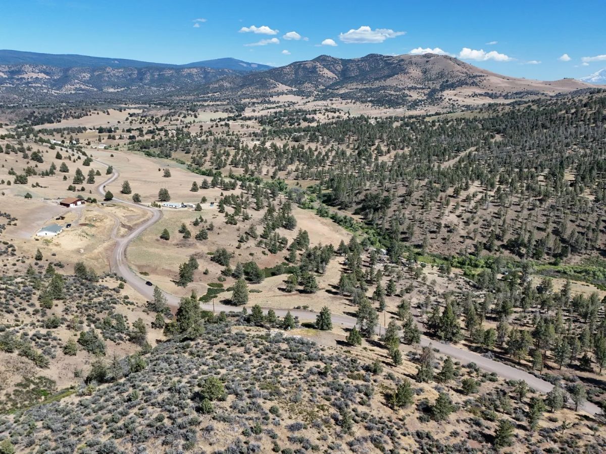 Decorative background for Elevated View Property with Gravel Road Access image 14
