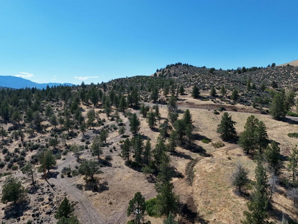 Decorative background for Elevated View Property with Gravel Road Access image 18