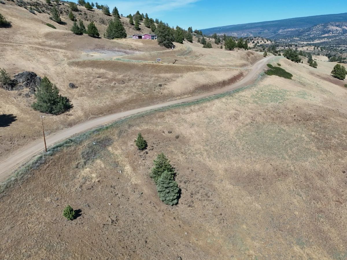 Decorative background for Elevated View Property with Gravel Road Access image 21