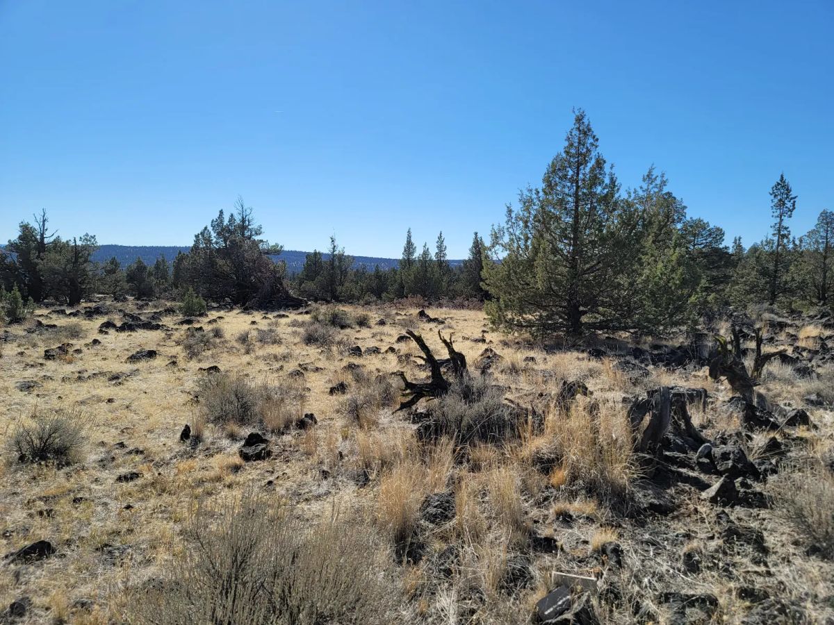 Oversized Property, Quiet Area - Image 3