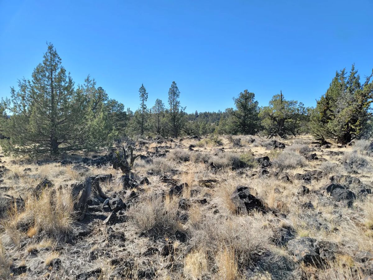 Oversized Property, Quiet Area - Image 4