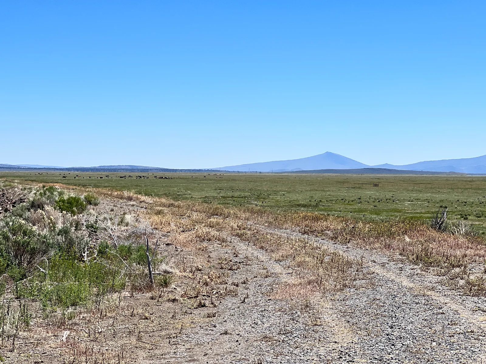 Moon Valley Ranch near Termo in Lassen County, CA