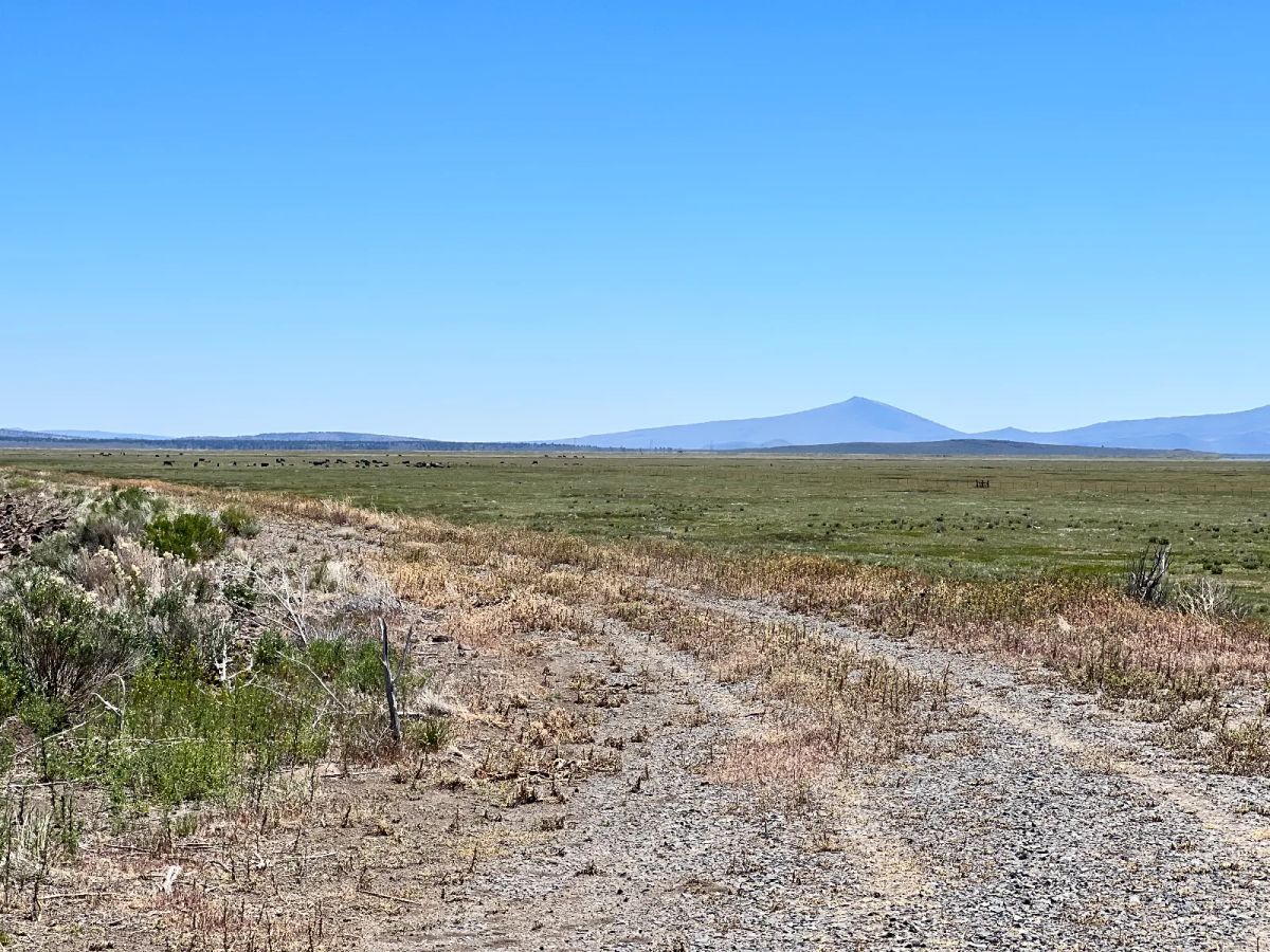 Moon Valley Ranch near Termo - Main image