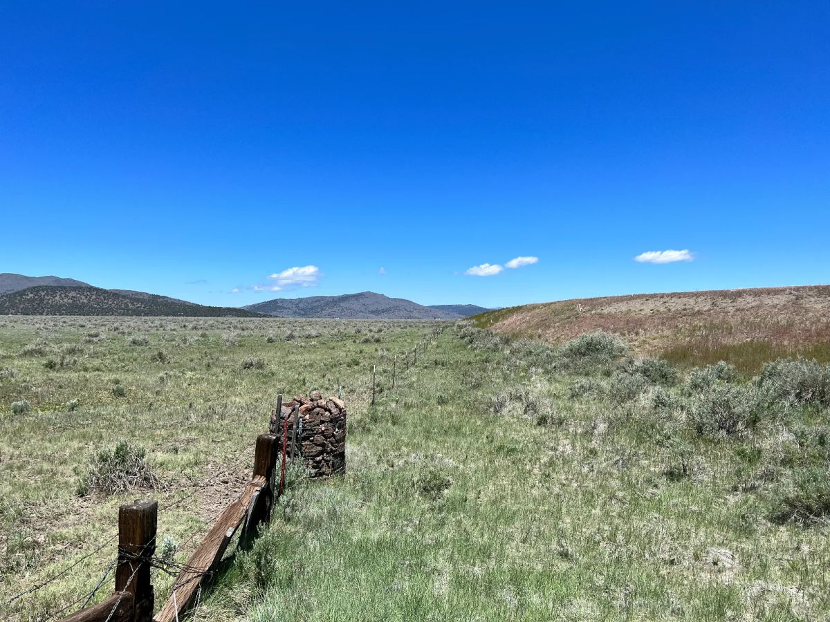 Moon Valley Ranch near Termo - Image 2