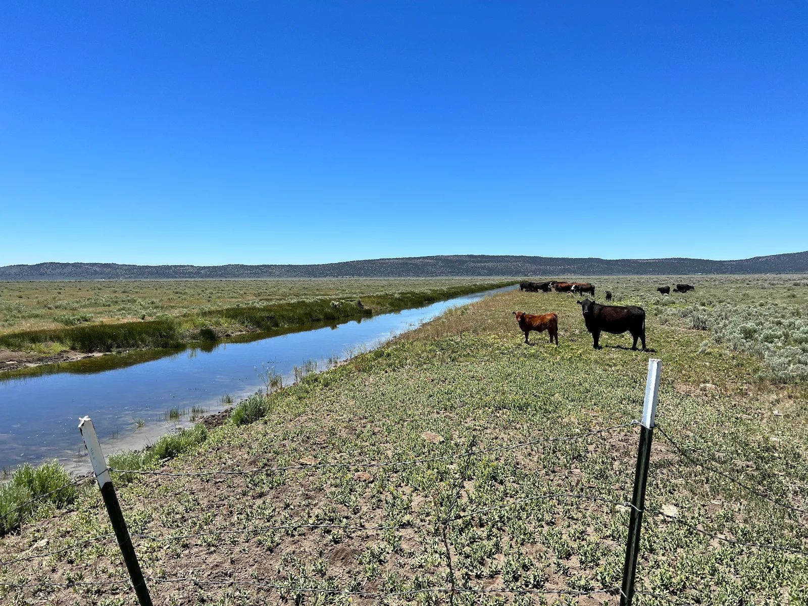 Moon Valley Ranch near Termo in Lassen County, CA
