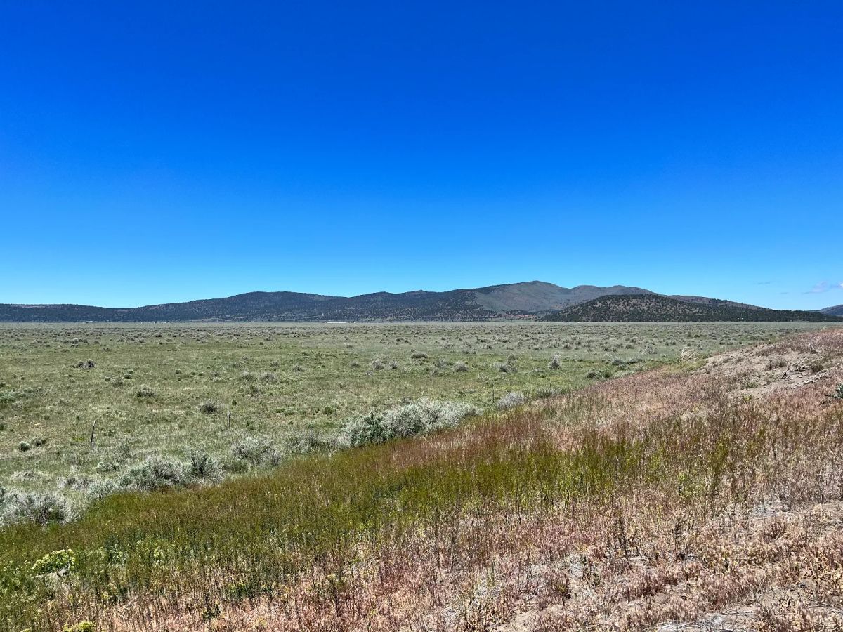 Moon Valley Ranch near Termo - Image 4