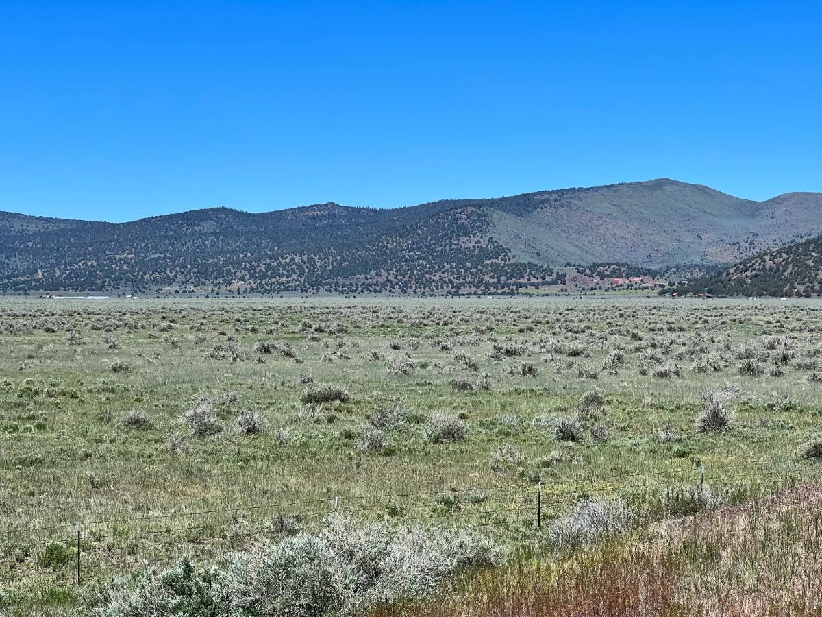 Decorative background for Moon Valley Ranch near Termo image 5