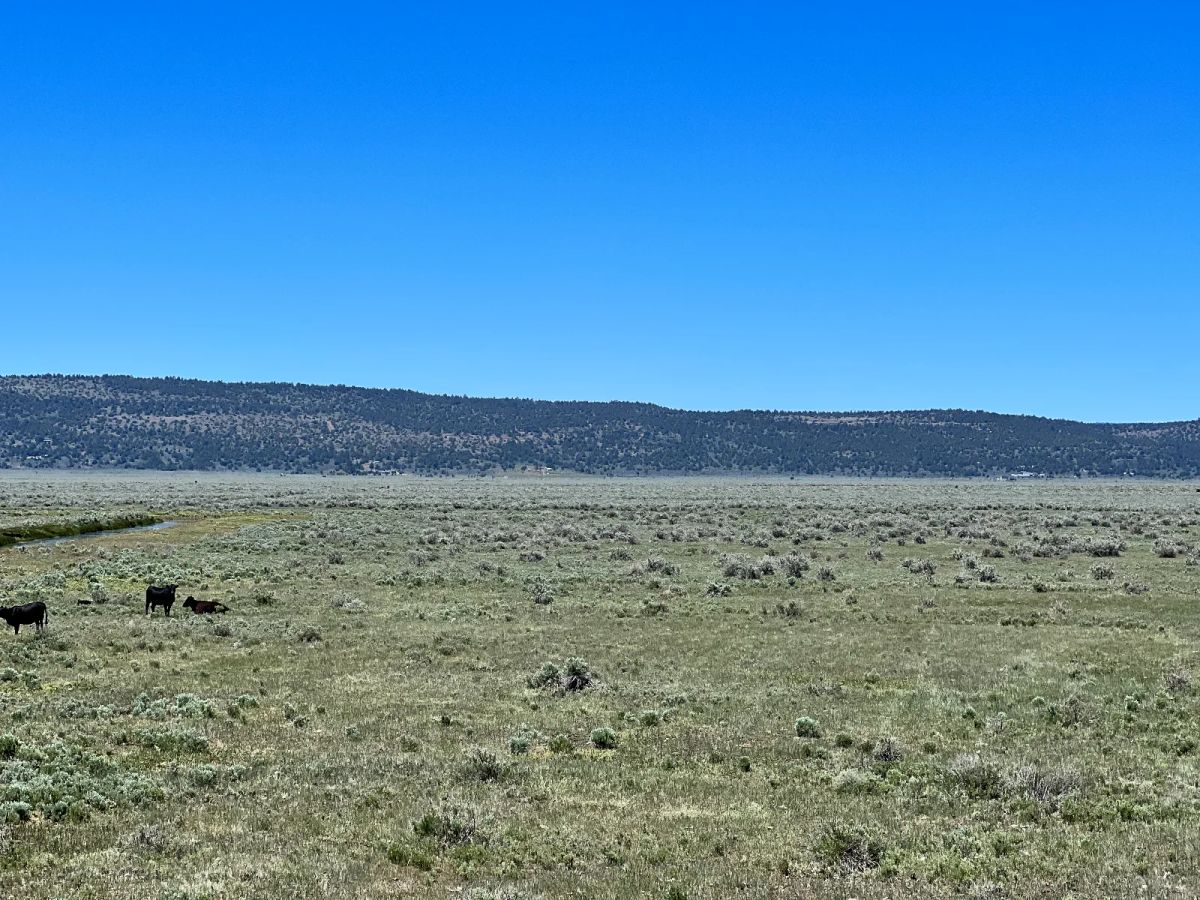Decorative background for Moon Valley Ranch near Termo image 9