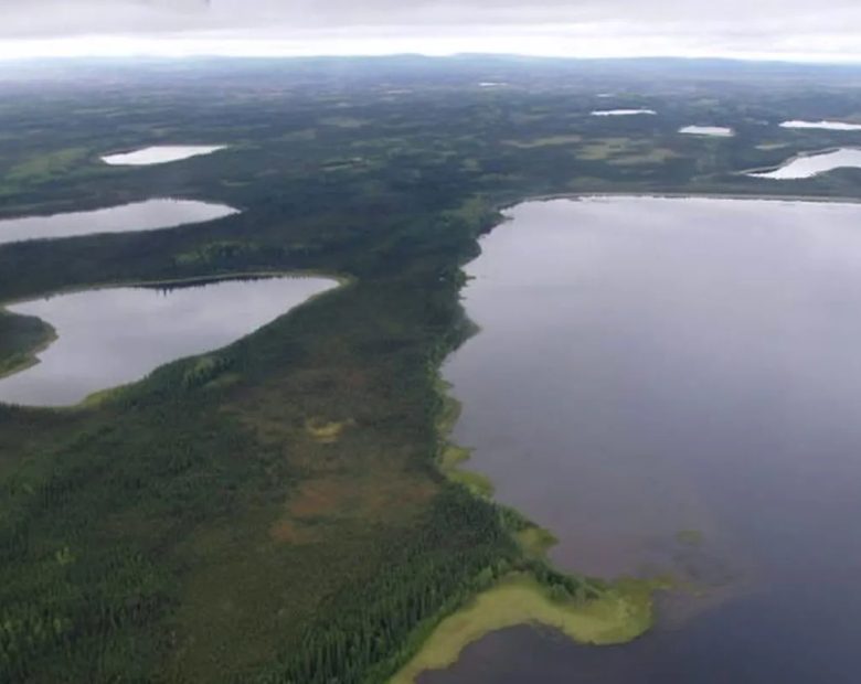 Alaskan Lakefront Property Mucha Lake II in Fairbanks North Star County, AK