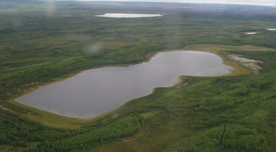 Alaskan Lakefront Property Mucha Lake II in Fairbanks North Star County, AK