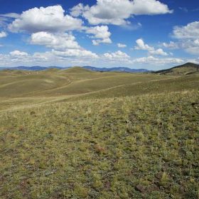 Near Great Fishing and Hunting in Park County, CO