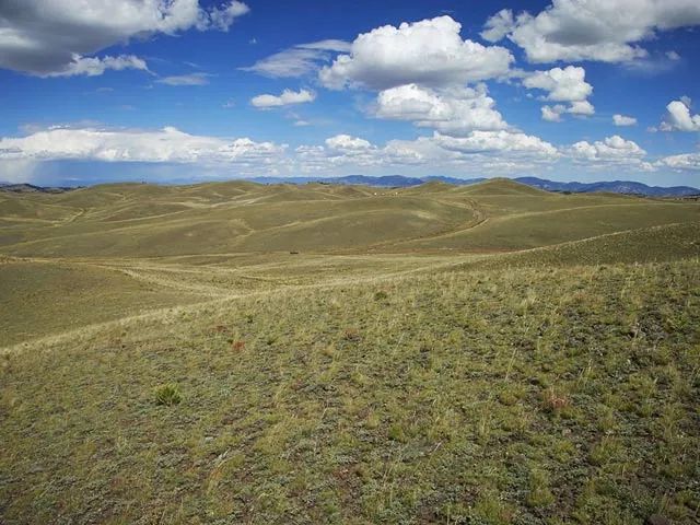 Near Great Fishing and Hunting in Park County, CO