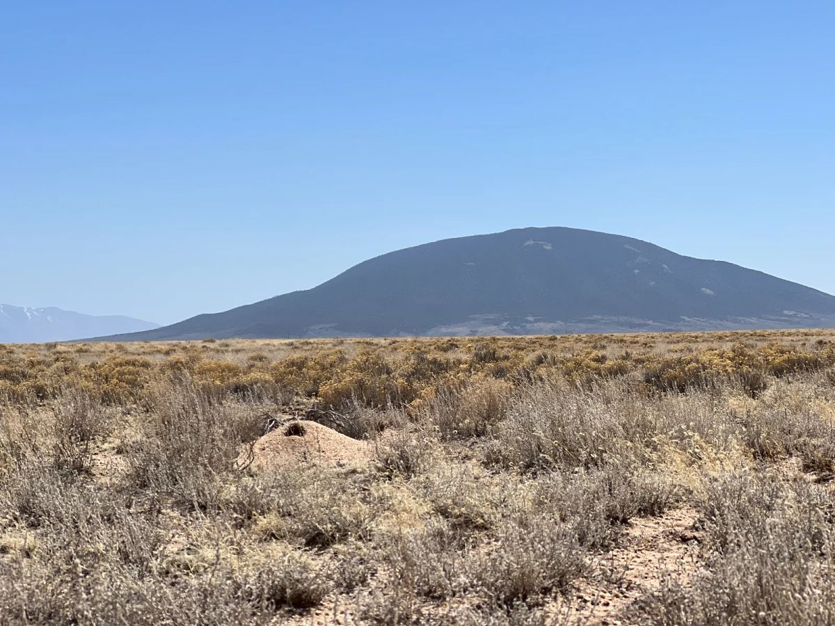 Power Close, Recent Survey - Image 4