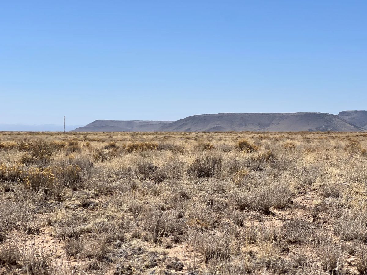 Decorative background for Power Close, Recent Survey image 5