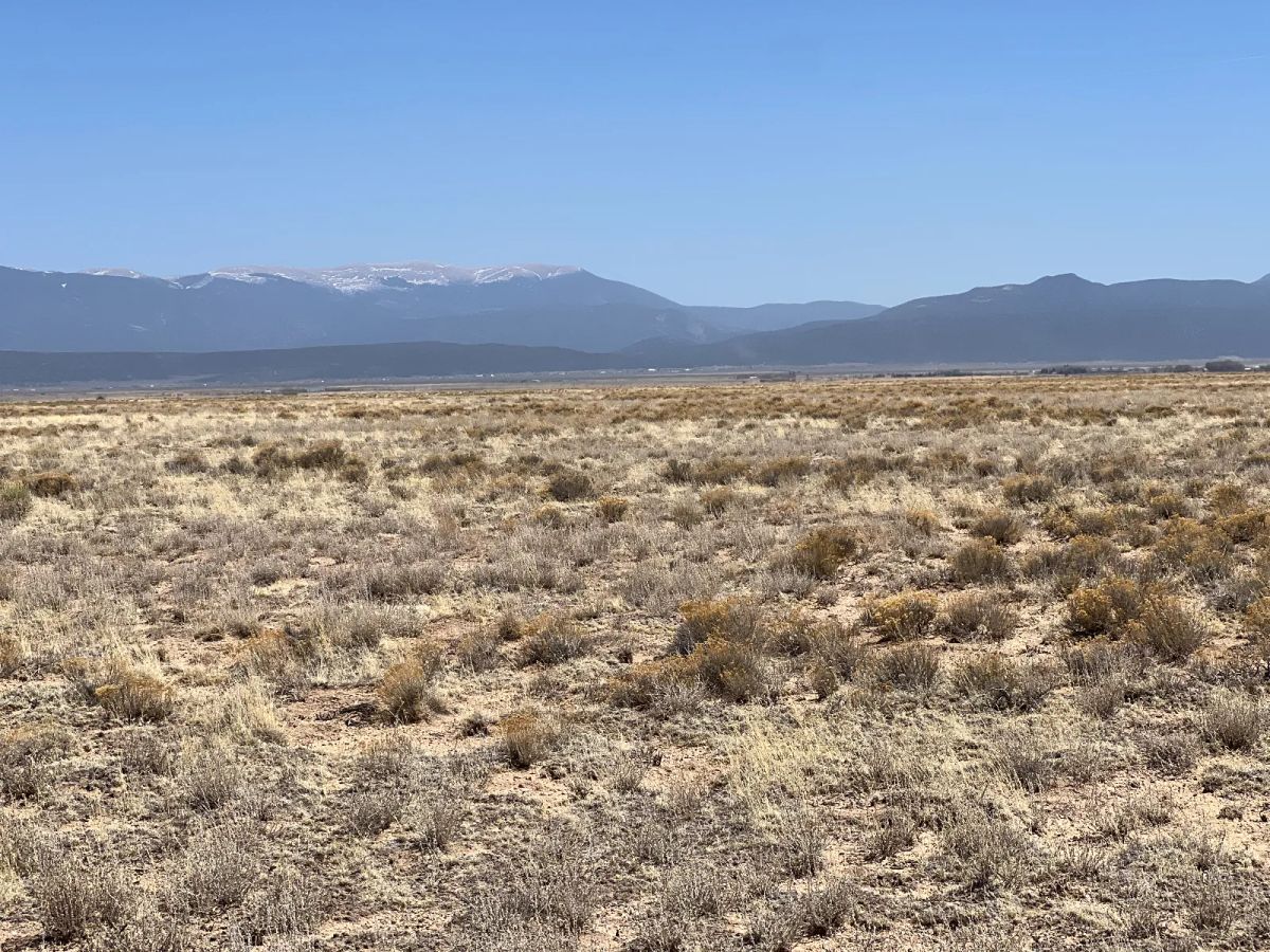 Decorative background for Power Close, Recent Survey image 8