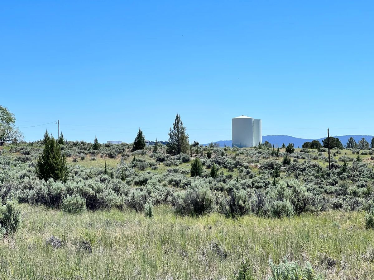Nearly an Acre, Close to Highway and Short Drive to Alturas - Image 3