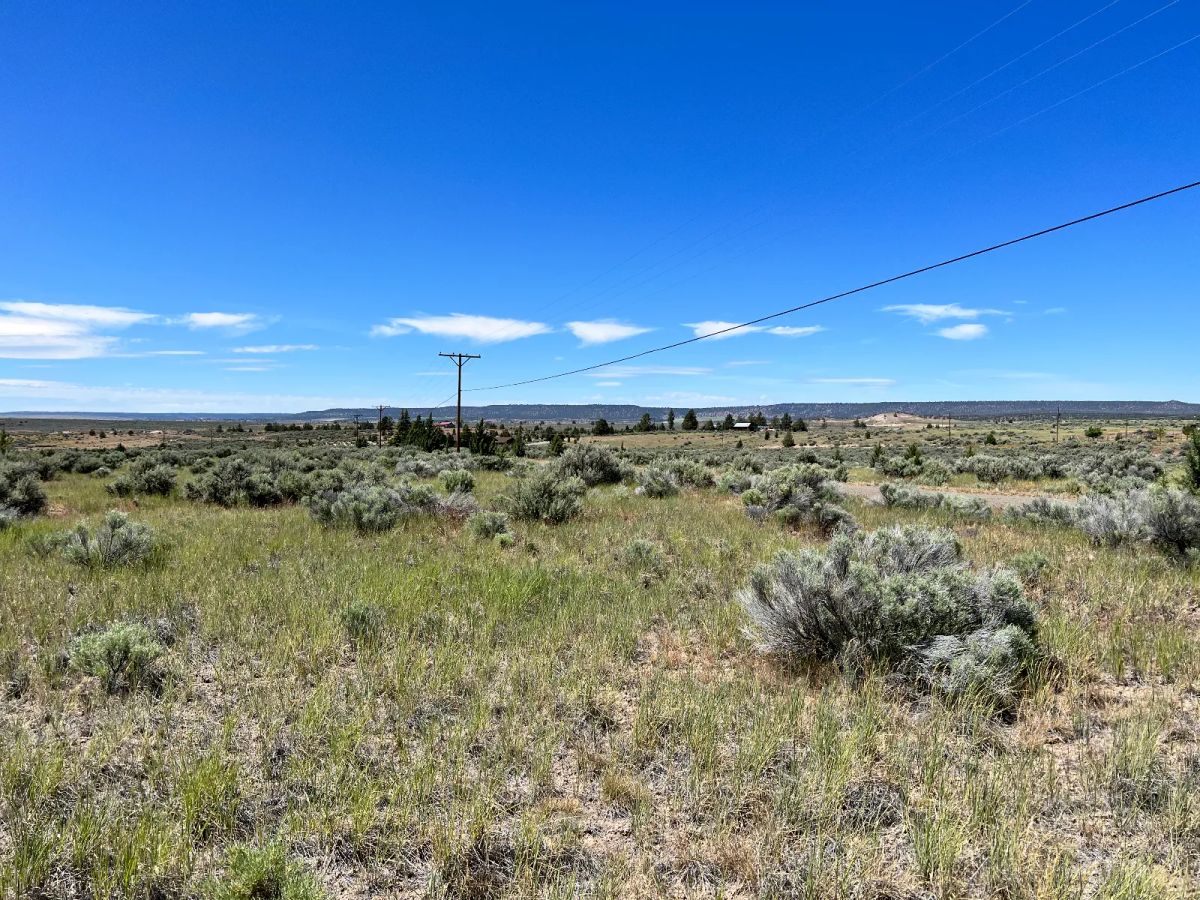 Decorative background for Nearly an Acre, Close to Highway and Short Drive to Alturas image 5