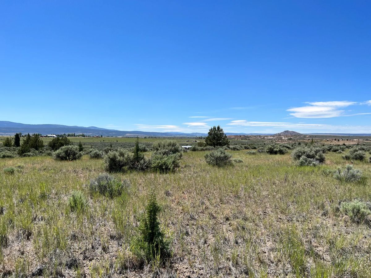 Decorative background for Nearly an Acre, Close to Highway and Short Drive to Alturas image 6