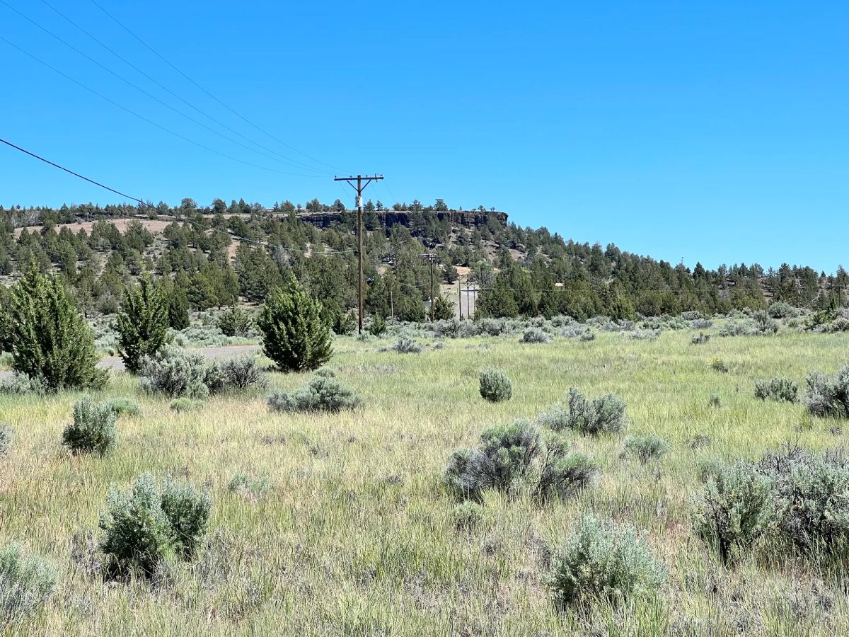 Decorative background for Nearly an Acre, Close to Highway and Short Drive to Alturas image 7