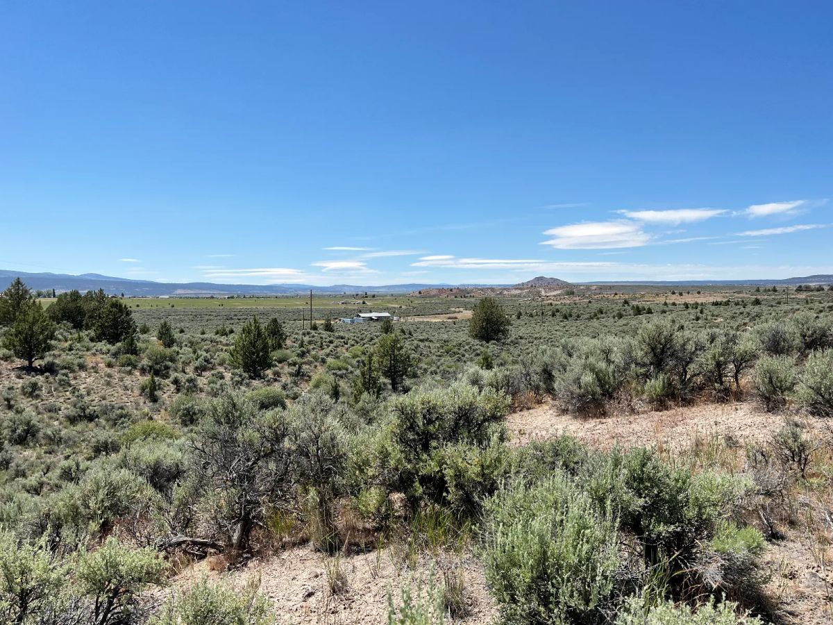 Decorative background for Nearly an Acre, Close to Highway and Short Drive to Alturas image 9