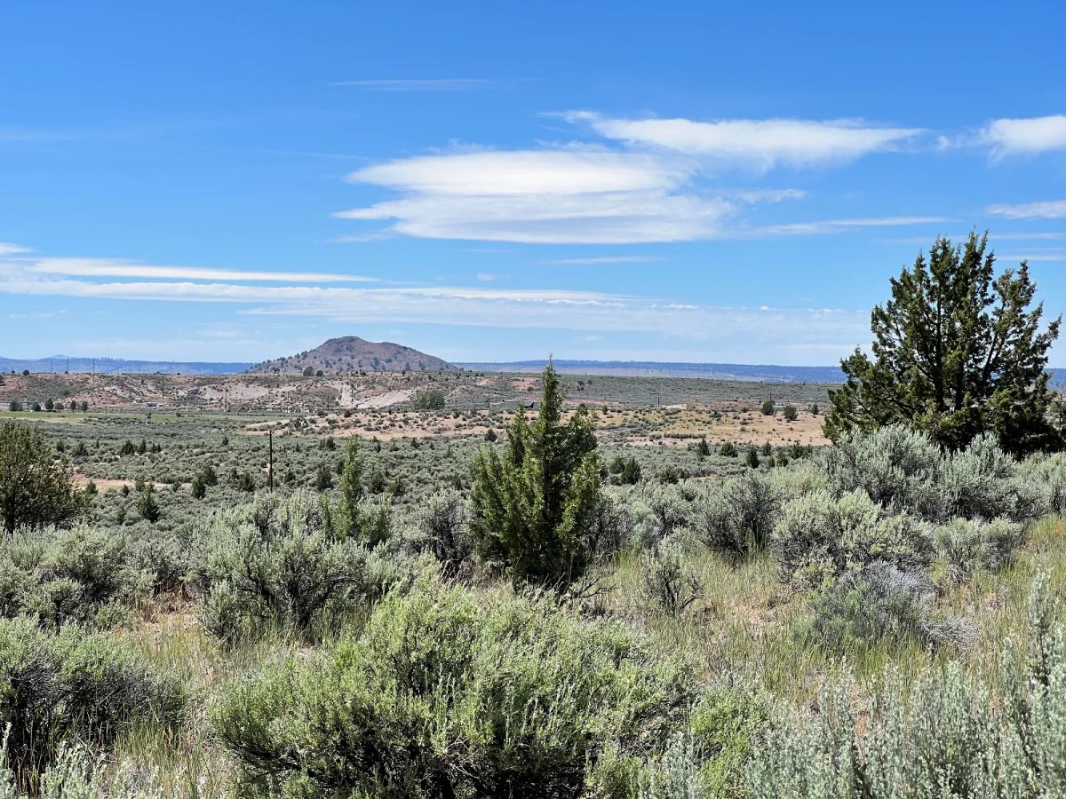 Decorative background for Nearly an Acre, Close to Highway and Short Drive to Alturas image 10