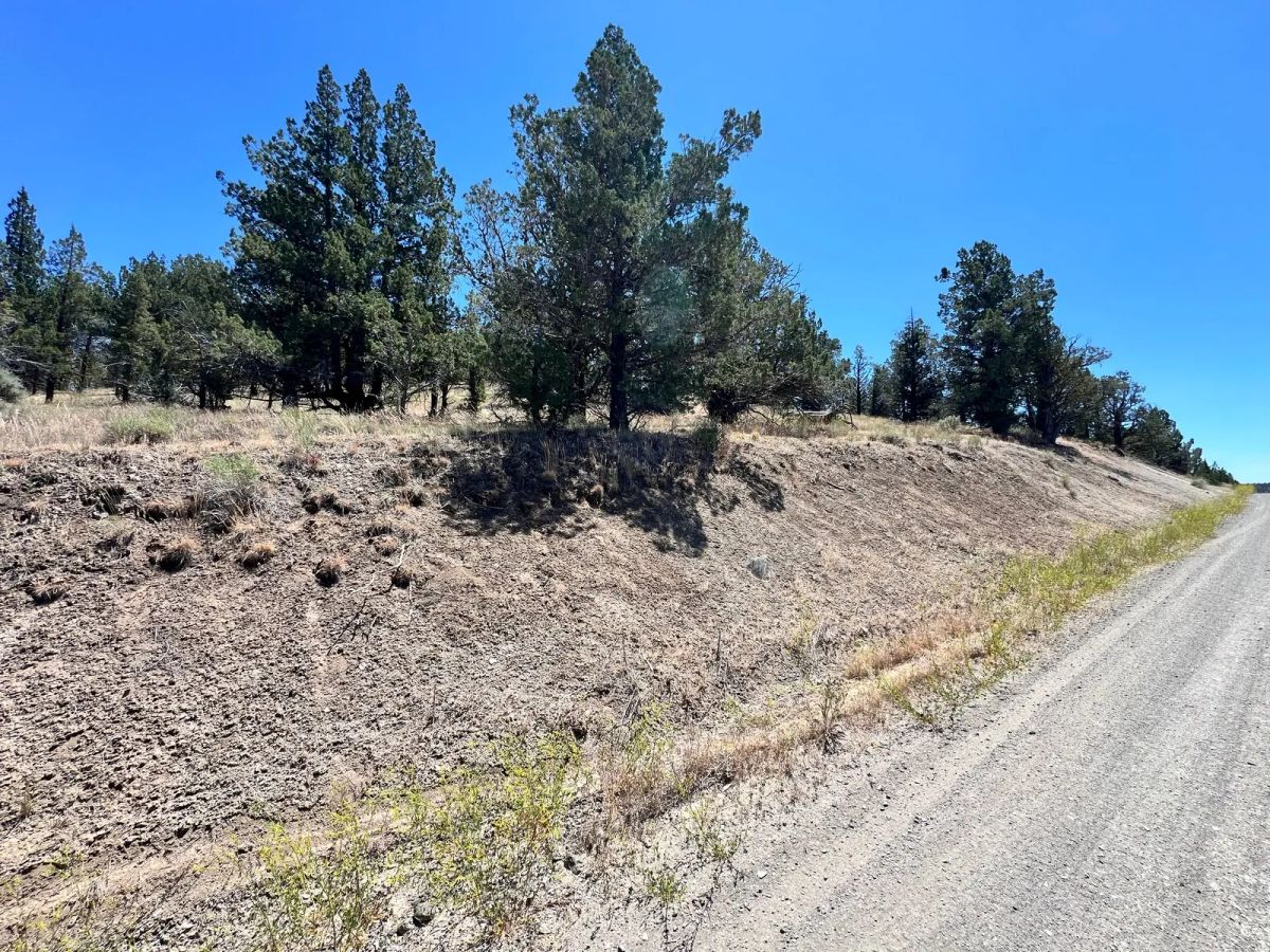 Power at the Street, Nice Gravel Road Access - Image 4