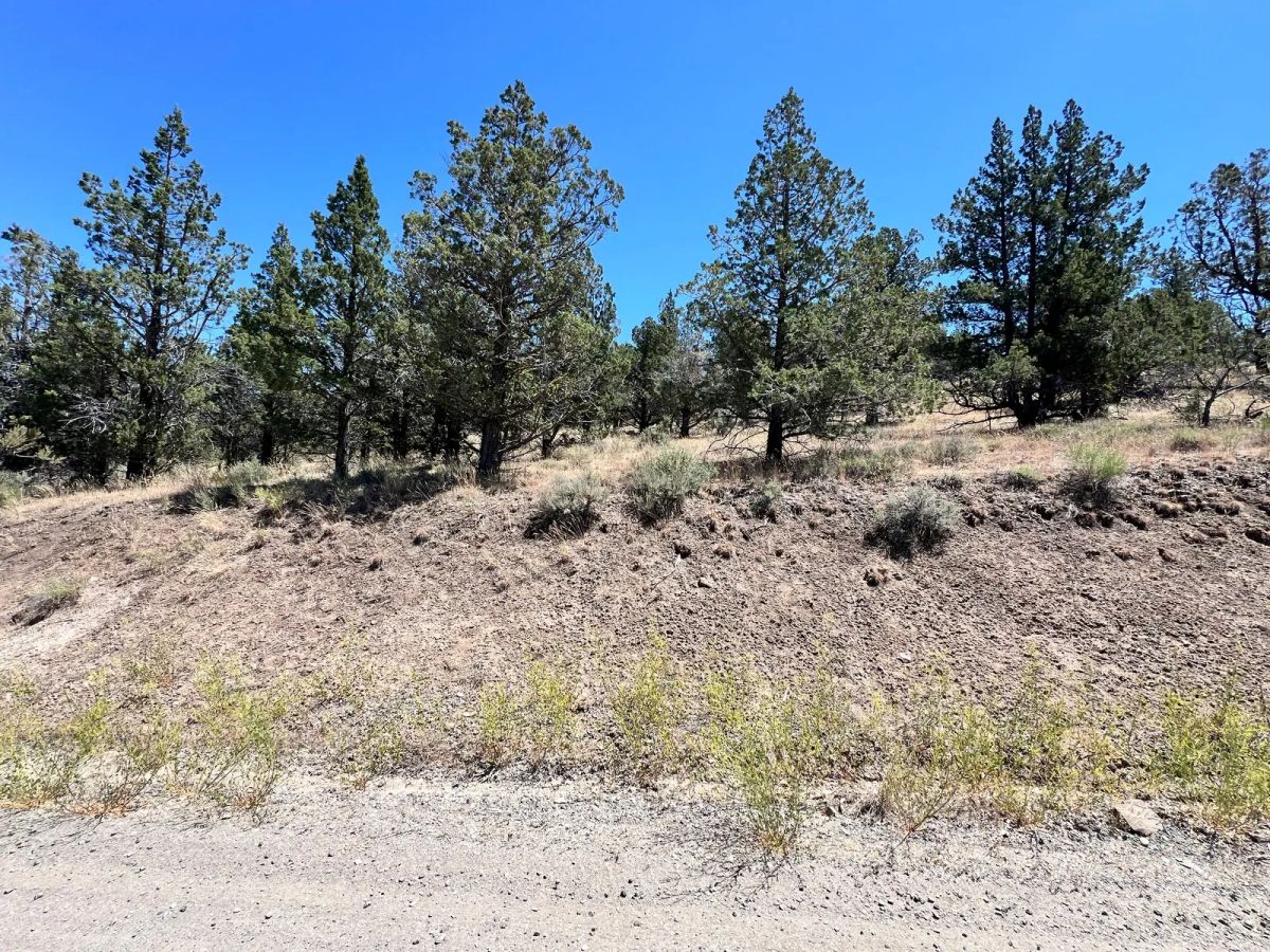 Decorative background for Power at the Street, Nice Gravel Road Access image 5