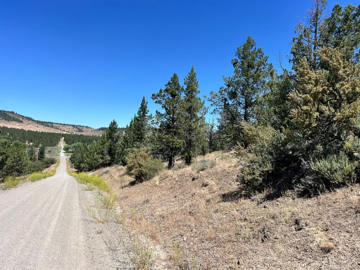 Decorative background for Power at the Street, Nice Gravel Road Access image 7