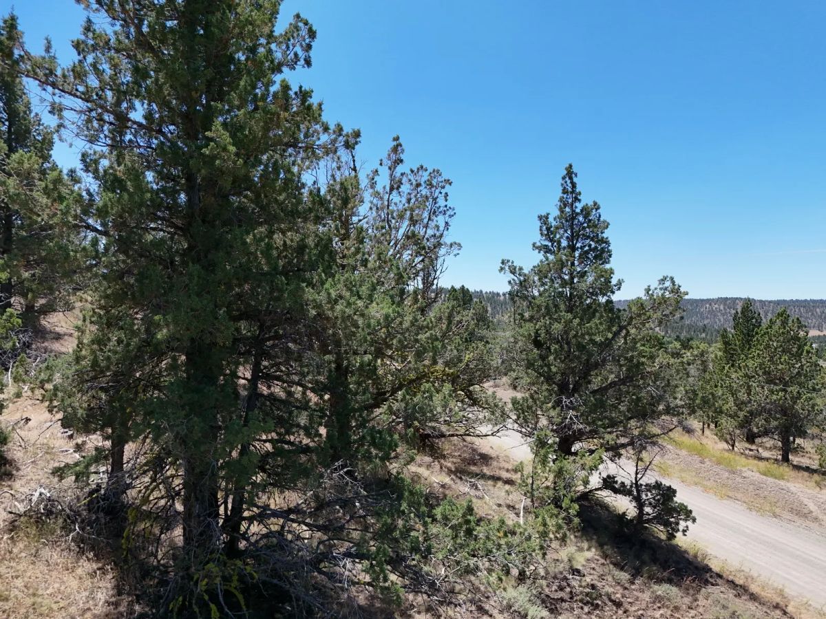 Decorative background for Power at the Street, Nice Gravel Road Access image 11