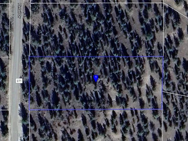 Decorative background for Power at the Street, Nice Gravel Road Access image 24