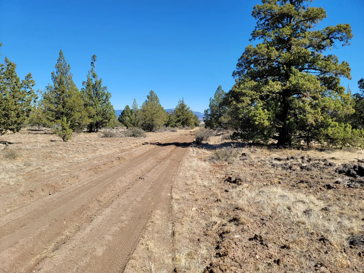 Great Remote California Land Near Alturas - Main image