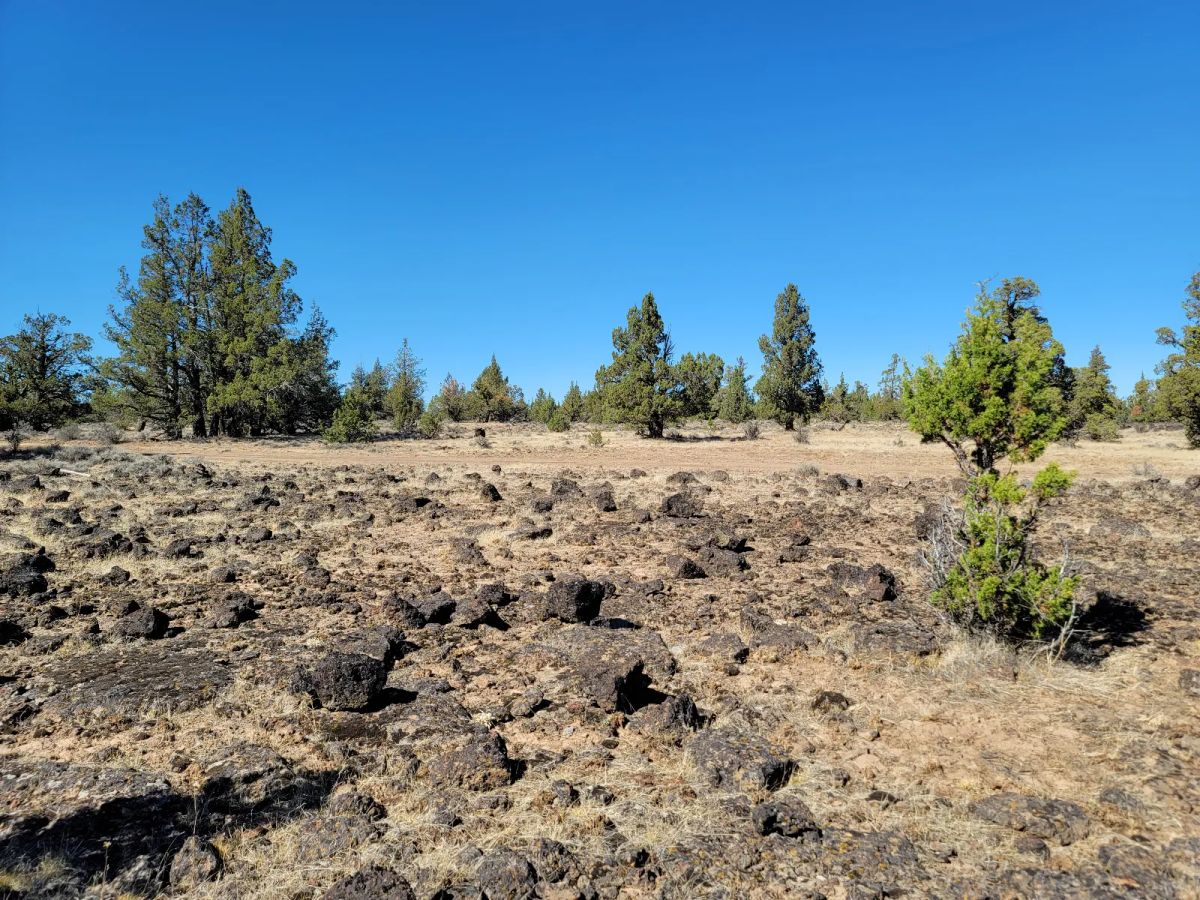 Great Remote California Land Near Alturas - Image 2