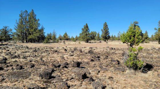 Great Remote California Land Near Alturas in Modoc County, CA